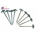 Roofing Nail Roof Wire Nail Steel Smooth Shank